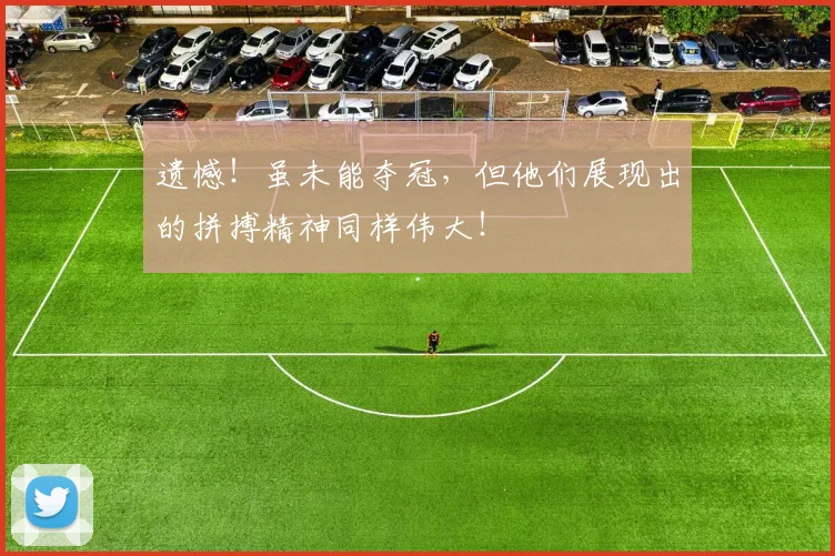 遗憾!虽未能夺冠,但他们展现出的拼搏精神同样伟大!